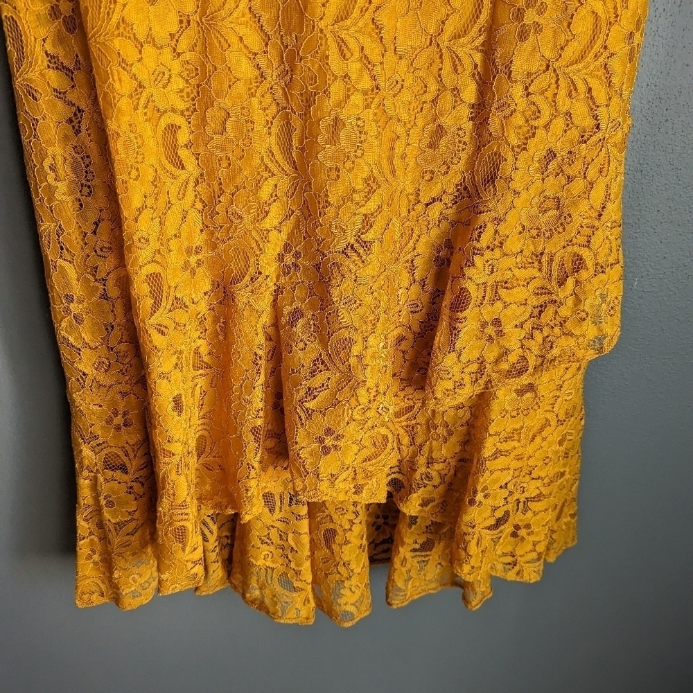 Gabby Skye Dress. Women's lace dress. Size 12 dress. - Picture 8 of 9